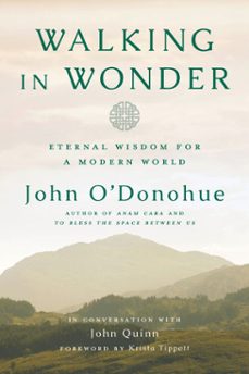 walking in wonder (ebook)-john o donohue-john quinn-9780525575290
