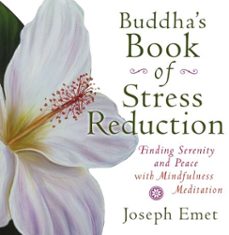 buddha's book of stress reduction (ebook)-joseph emet-9780698140790