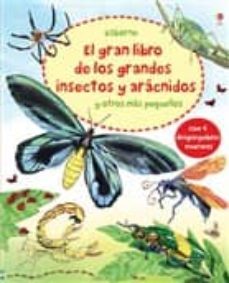 gran libro grandes insectos-9781409557890