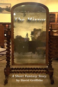 the mirror (ebook)-david griffiths-9781452310190