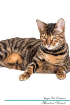 toyger cat affirmations workbook toyger cat presents-9781526977090