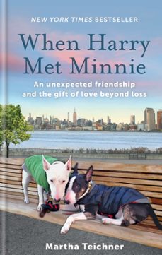 when harry met minnie (ebook)-martha teichner-9781783253890