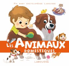 -sandra lebrun-9782035896490