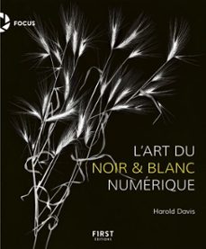 l'art du noir et blanc numerique (ebook)-harold davis-9782412056790
