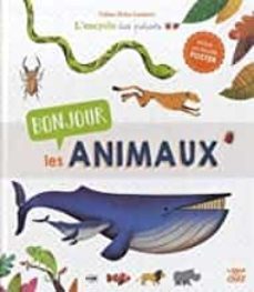 bonjour les animaux-9782806309990