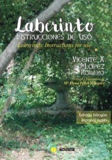 laberinto: instrucciones de uso-vicente lopez romero-9788416418190