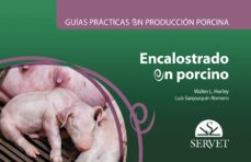 -luis sanjoaquin romero-9788417640590
