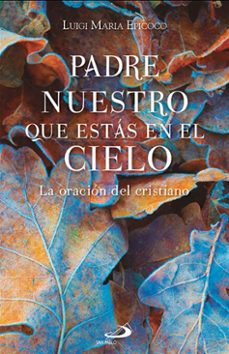 padre nuestro que estas en el cielo (ebook)-luigi maria epicoco-9788428573290