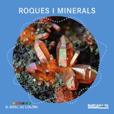 roques i minerals-estel baldo-rosa gil-9788448941390