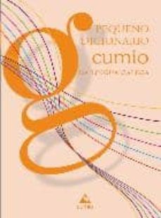 dicionario cumio pequeno da lingua galega-9788482893990