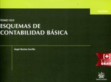 tomo xlii esquemas de contabilidad básica-angel montes carrillo-9788490864890