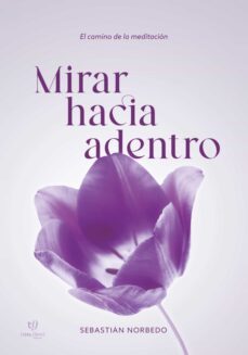 mirar hacia adentro (ebook)-sebastian norbedo-9789878179490