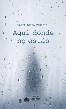 aqui donde no estas (ebook)-maría luisa toribio-9791387571290