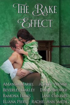 the rake effect (ebook)-dawn brower-amanda mariel-aubrey wynne-9798232137090