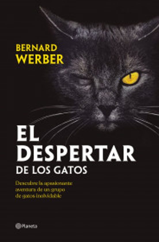 Portada de El Despertar De Los Gatos