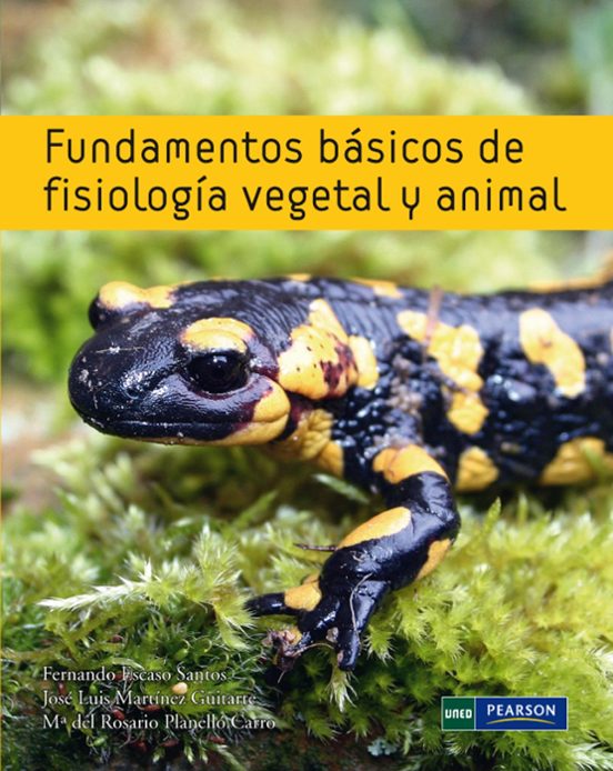 https://imagessl0.casadellibro.com/a/l/s7/50/9788483227350.webp