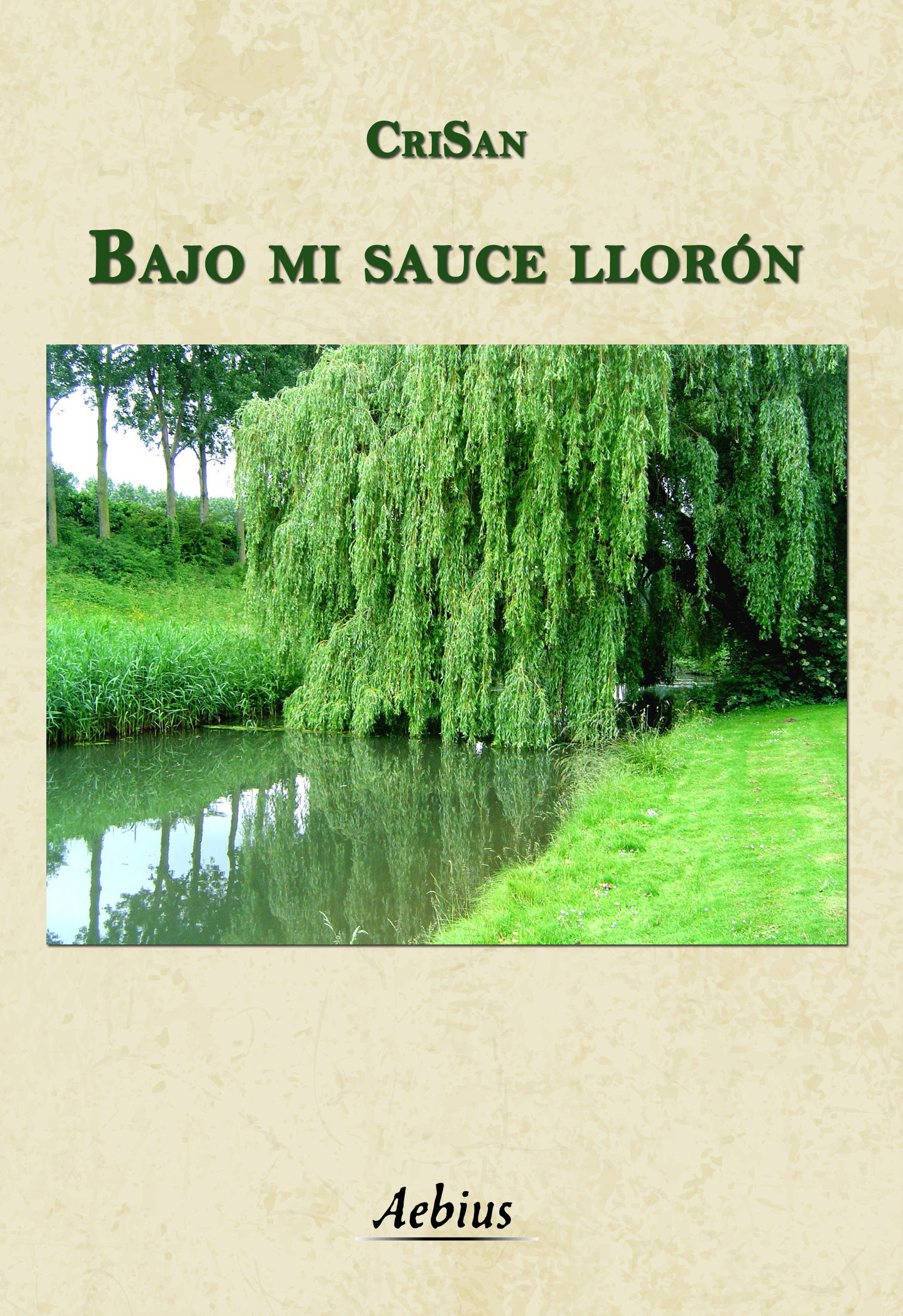 BAJO MI SAUCE LLORÓN EBOOK CRISAN Descargar libro PDF o EPUB