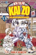Katteni Kaizo Nº 13 por Kohji Kumeta