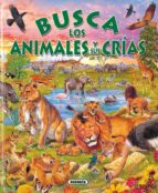 busca los animales y sus crias-9788430546800 busca los animales y sus crias-9788430546800