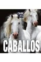 caballos (cube book)-9788496865310 caballos (cube book)-9788496865310