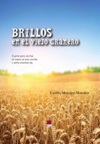 brillos en el viejo granero-amilio morales-9788416064120 brillos en el viejo granero-amilio morales-9788416064120