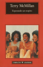esperando un respiro-terry mcmillan-9788433966650 esperando un respiro-terry mcmillan-9788433966650