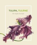 tulipa tulipae: el tulipán ilustrado (ebook)-esther garcía guillén-9788400103170 tulipa tulipae: el tulipán ilustrado (ebook)-esther garcía guillén-9788400103170