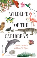 wildlife of the caribbean (ebook)-herbert a. raffaele-james wiley-9781400851690 wildlife of the caribbean (ebook)-herbert a. raffaele-james wiley-9781400851690