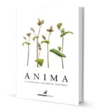 anima (ed. bilingüe español-ingles)-fina puigdevall-manel puigvert-9788472121690 anima (ed. bilingüe español-ingles)-fina puigdevall-manel puigvert-9788472121690