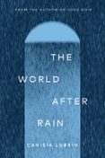 THE WORLD AFTER RAIN