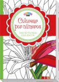 colorear por números (rojo)-9783869416700 colorear por números (rojo)-9783869416700