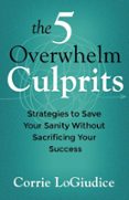 THE 5 OVERWHELM CULPRITS