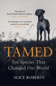TAMED-16649849-otro-formato