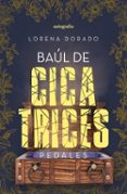 BAUL DE CICATRICES-13618018-otro-formato
