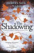 THE SHADOWING-13474455-otro-formato