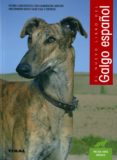 el galgo español-9788499284620 el galgo español-9788499284620