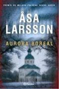 AURORA BOREAL-6565423-otro-formato