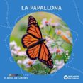 La papallona-18039284-otro-formato