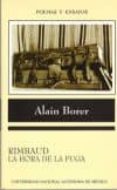 el resplandor intelectual de las imagenes-alain borer-9789683670830 el resplandor intelectual de las imagenes-alain borer-9789683670830