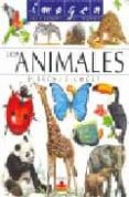 imagen descubre el mundo: los animales-d. beck-c. loget-9782215066040 imagen descubre el mundo: los animales-d. beck-c. loget-9782215066040