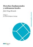 derechos fundamentales y ordenanzas locales-julia ortega bernando-9788415948940 derechos fundamentales y ordenanzas locales-julia ortega bernando-9788415948940