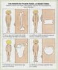 diccionario por imagenes: el cuerpo humano-emanuela bussolati-9788490243640 diccionario por imagenes: el cuerpo humano-emanuela bussolati-9788490243640