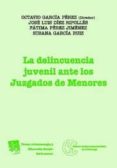 la delincuencia juvenil ante los juzgados menores-octavio garcia perez-9788498760040 la delincuencia juvenil ante los juzgados menores-octavio garcia perez-9788498760040