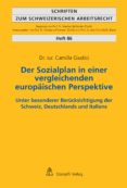Descarga gratuita de libros de texto pdf DER SOZIALPLAN IN EINER VERGLEICHENDEN EUROPÄISCHEN PERSPEKTIVE