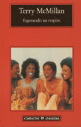 esperando un respiro-terry mcmillan-9788433966650 esperando un respiro-terry mcmillan-9788433966650