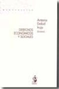 derechos economicos y sociales-antonio embid irujo-9788498900750 derechos economicos y sociales-antonio embid irujo-9788498900750