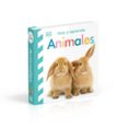 Toca y aprende - Animales-13931221-otro-formato