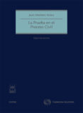 prueba en el proceso civil (7ª ed.)-juan montero aroca-9788447039760 prueba en el proceso civil (7ª ed.)-juan montero aroca-9788447039760