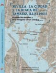 sevilla, la ciudad y la riada del tamarguillo (1961)-f. diaz del olmo-p. almoguera sallent-9788447214860 sevilla, la ciudad y la riada del tamarguillo (1961)-f. diaz del olmo-p. almoguera sallent-9788447214860