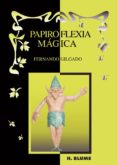 papiroflexia magica-fernando gilgado gomez-9788489840560 papiroflexia magica-fernando gilgado gomez-9788489840560